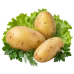 Картофель Королева Анна купить в Минске - ровные клубни c жёлтой мякотью: для салатов, запекания дольками и отварного картофеля Картофель Королева Анна купить в Минске - ровные клубни c жёлтой мякотью: для салатов, запекания дольками и отварного картофеля