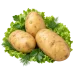 Картофель Скарб