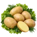 Картофель сорт Гала-умеренно рассыпчатый, с желтой мякотью:для жарки, запекания и варки
