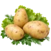 Картофель Ласунак