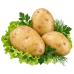Картофель сорт Джелли-для воздушного пюре и насыщенных запеканок: мякоть становится нежной уже при варке