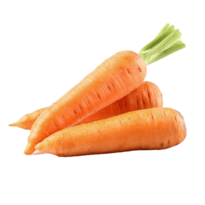 Морковь тупоносая